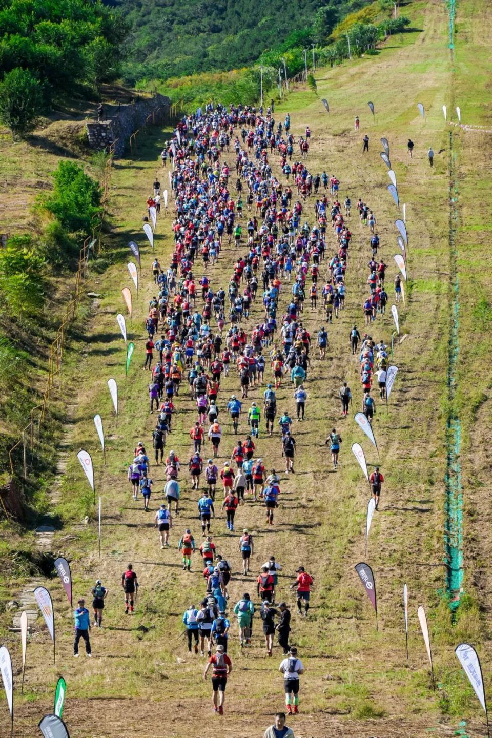 特色森林越野跑，绿色生态中的速度与激情