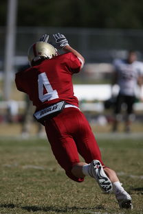 星空体育app官方网站-五大联赛最具统治力的球队如何打造，五大联赛良心球队