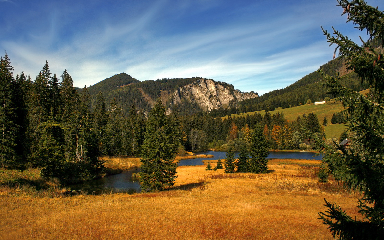 星空体育官方正版下载-布莱顿利用定位球制造持续威胁，布莱顿首发