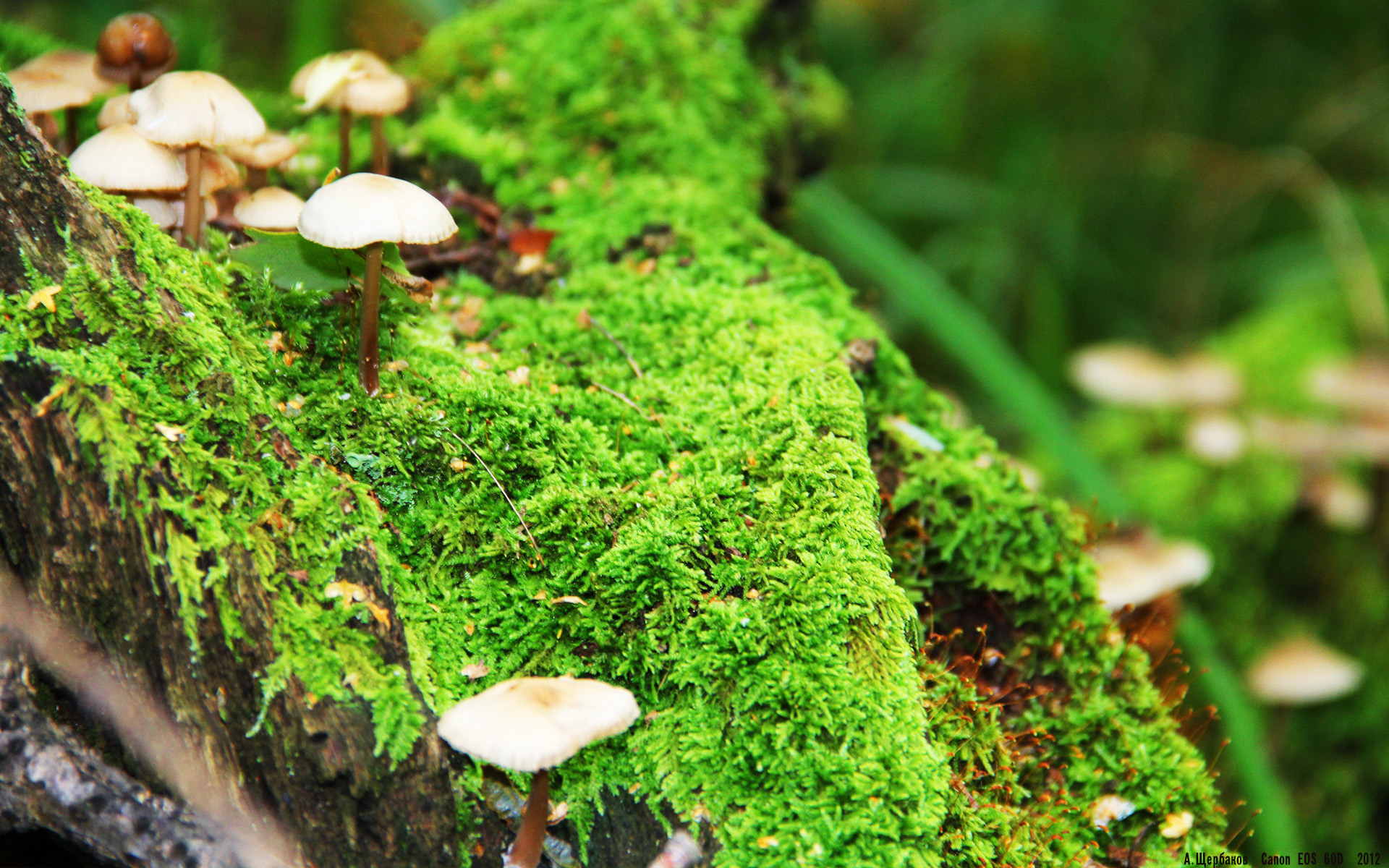 星空体育正版APP下载-女子足球联赛火热开赛新星层出不穷，2021女子足球联赛