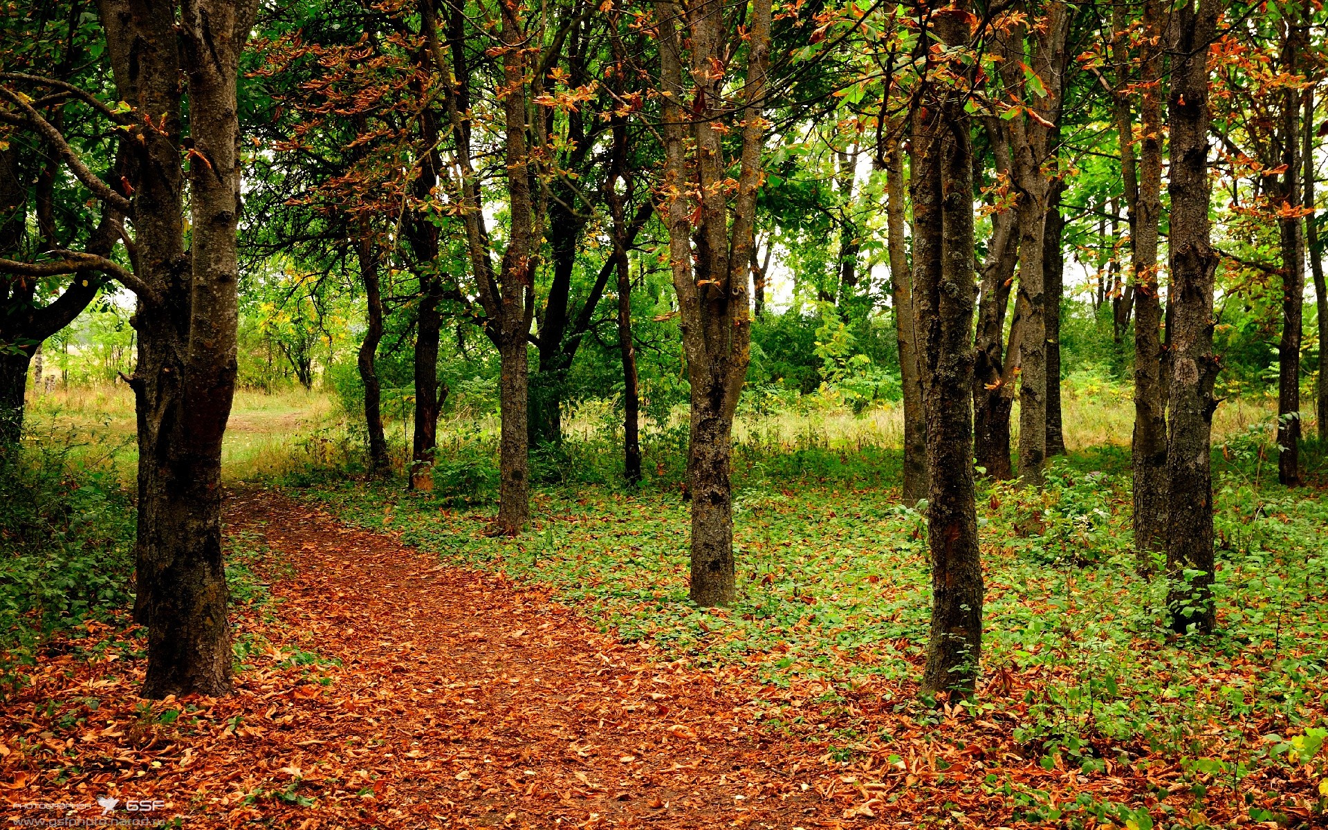 星空体育-新西兰全黑队的世界级球员引领橄榄球锦标赛的潮流，新西兰橄榄球队名单