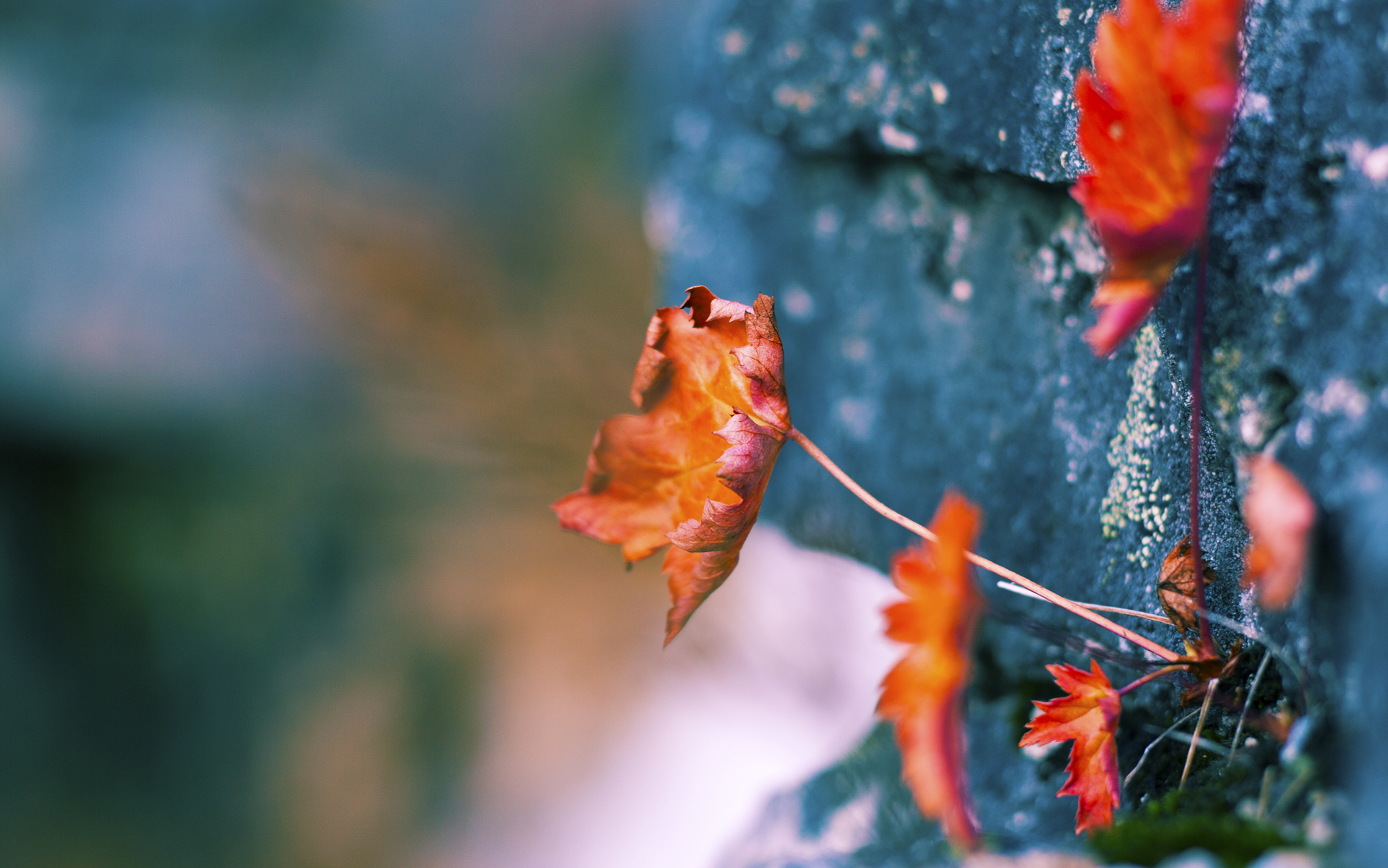 星空体育网页-里根·史密斯女子200米蝶泳决赛展现王者风范，女子200米蝶泳美国选手